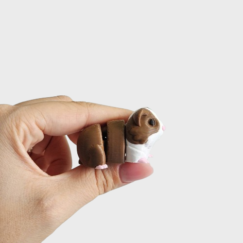 Guinea Pig
