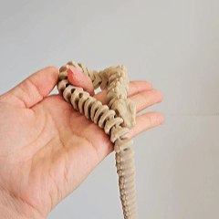 Articulated Skeleton Snake