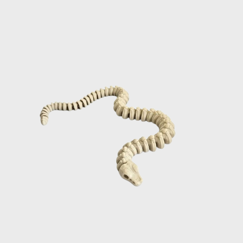 Articulated Skeleton Snake